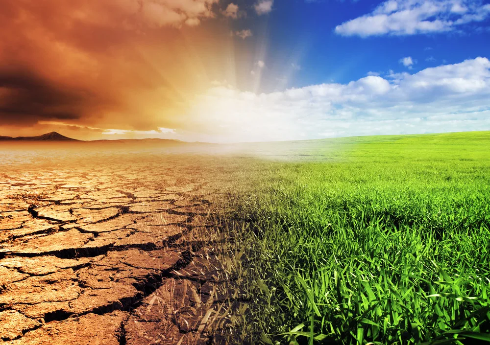 Driving Sustainable Change: The Role of PR in Greentech and Climate Tech
